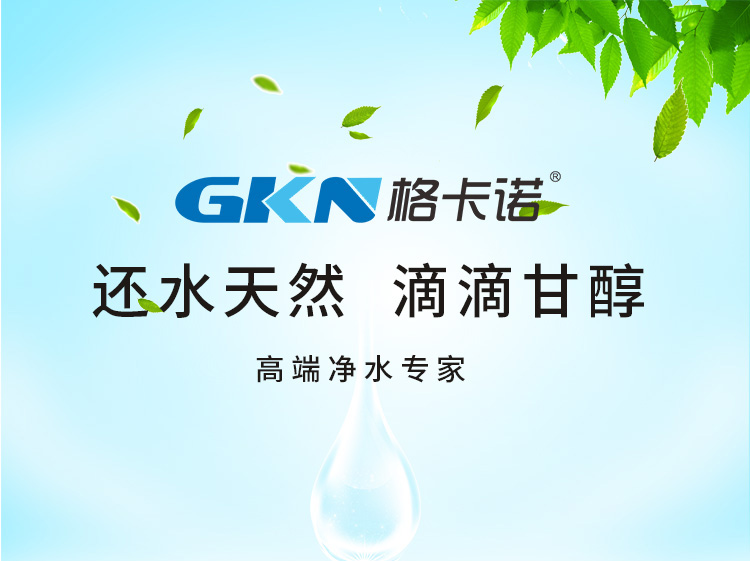 gkn格卡诺不锈钢净水器家用过滤器厨房净水器不锈钢净水器1000l